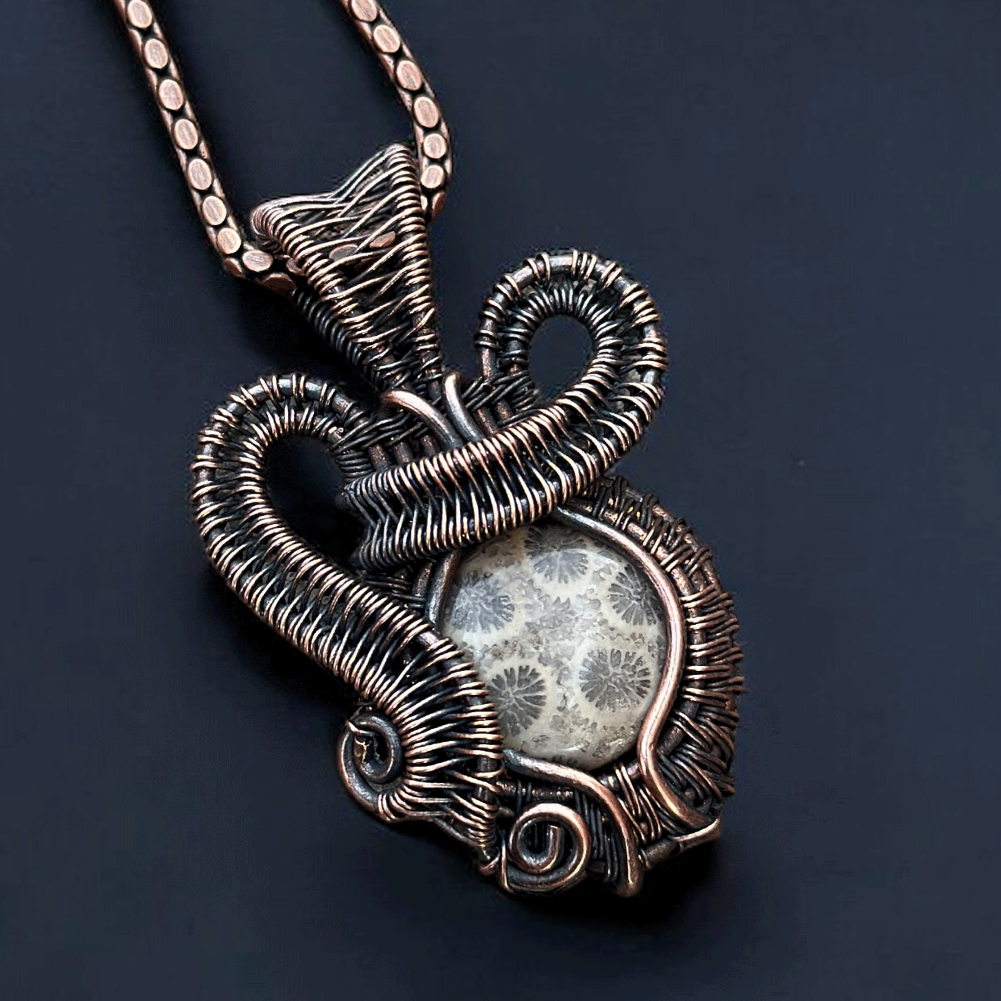 fosil coral (4)